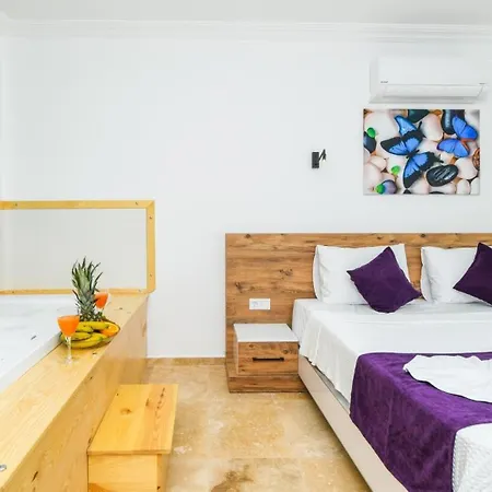 Bezirgan Village 2 Bedroom - 4320 Villa